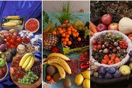 La Meilleure Association Alimentaire Pour Maigrir Durablement